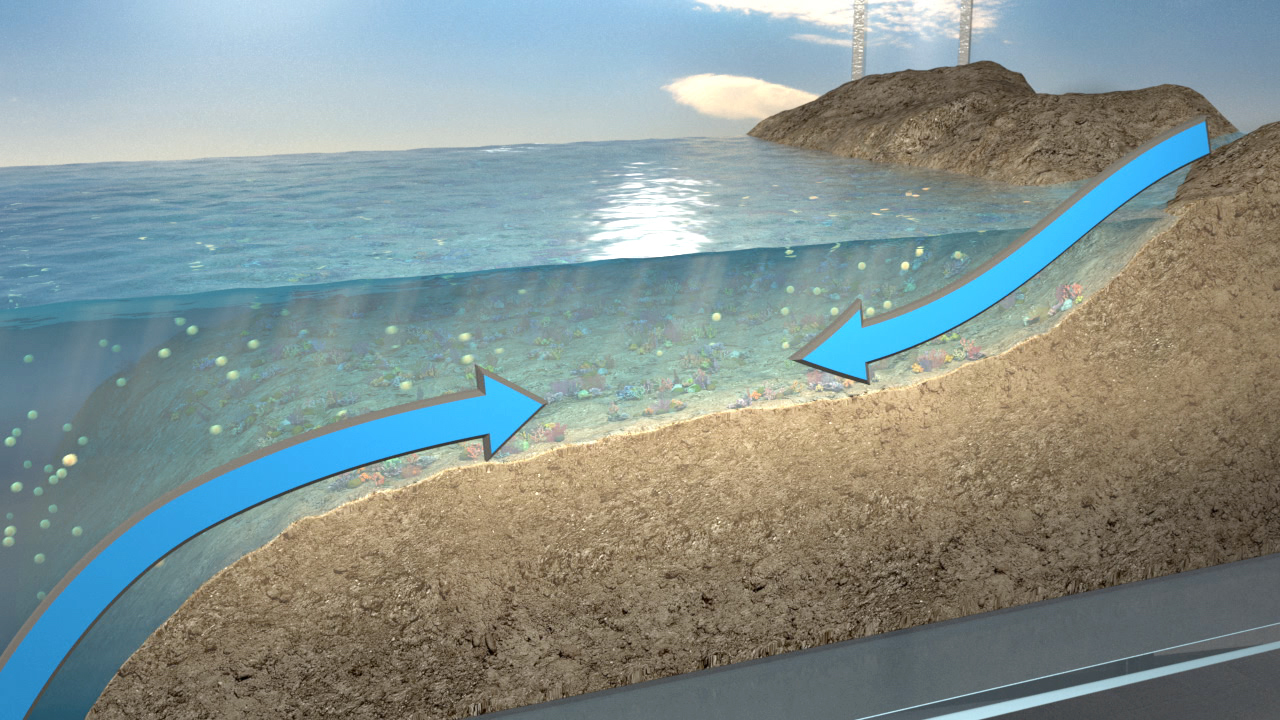 Diagramm, das den Wasserfluss an einer Küste zeigt, mit Pfeilen, die die Strömung darstellen.