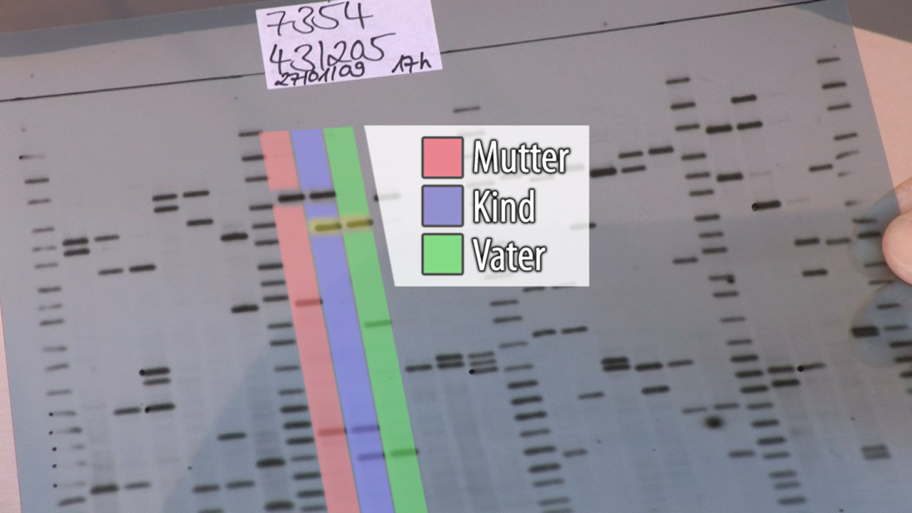 Genetische Analyse mit Markierungen für Mutter, Kind und Vater in verschiedenen Farben.