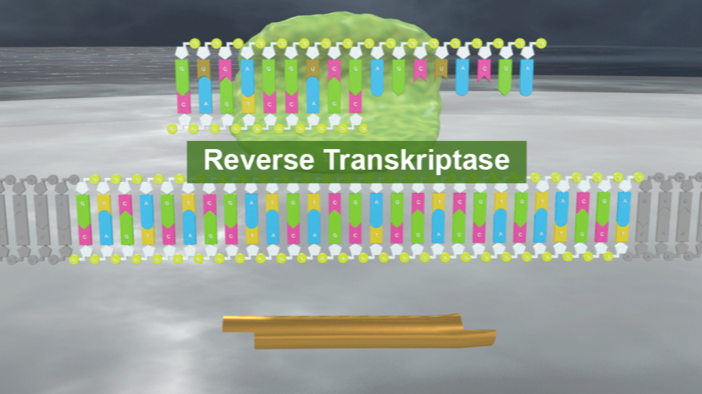 Grafik, die die Struktur der reversen Transkriptase zeigt, mit farbigen Molekülen und dem Text 'Reverse Transkriptase'.
