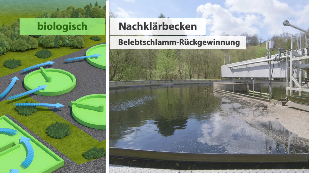 Diagramm zur biologischen Abwasserbehandlung mit Nachklärbecken und Belebtschlamm-Rückgewinnung.