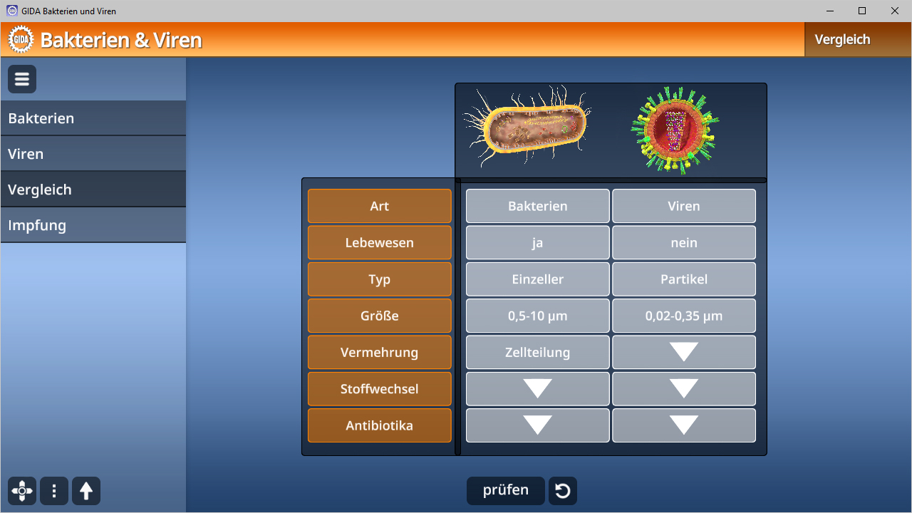 Vergleichstabelle zwischen Bakterien und Viren, zeigt Arten, Lebensformen, Typen, Größen, Fortpflanzung, Stoffwechsel, Zeitspanne und Antibiotika.