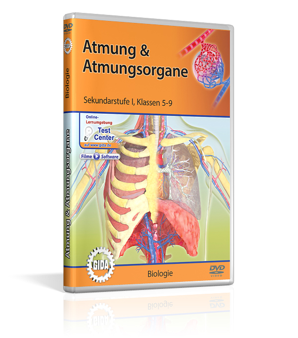 DVD-Cover mit dem Titel 'Atmung & Atmungsorgane' für Sekundarstufe 1. Es zeigt die anatomische Darstellung des menschlichen Atmungssystems.