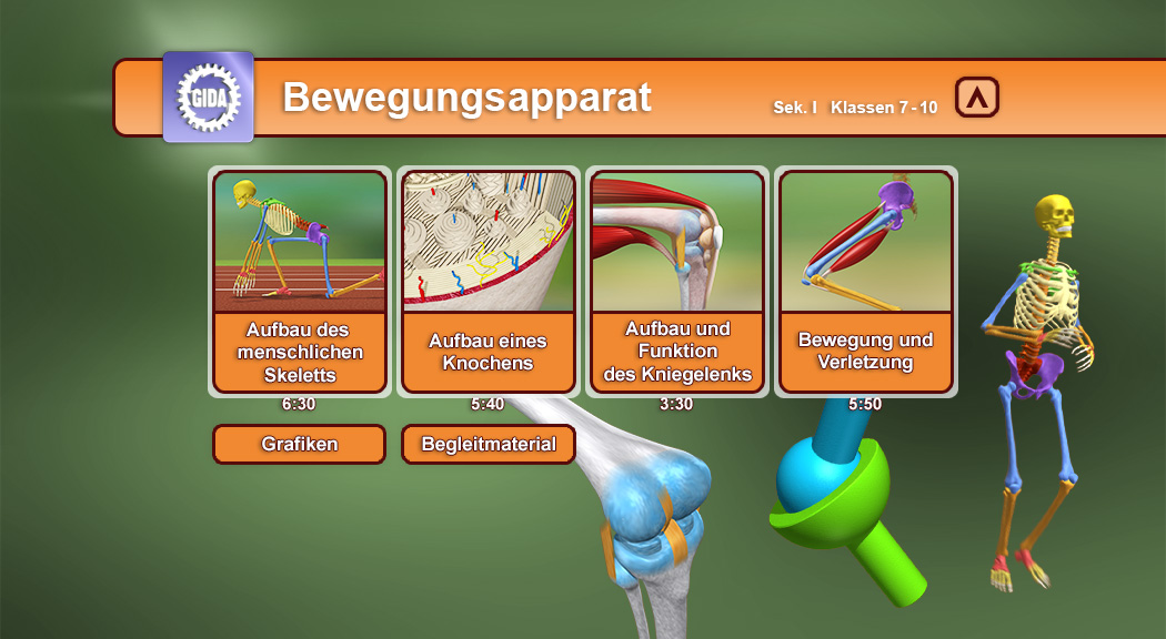 Interaktive Lernoberfläche über den Bewegungsapparat mit Themen zu Skelett, Knochen, Gelenken und Verletzungen.