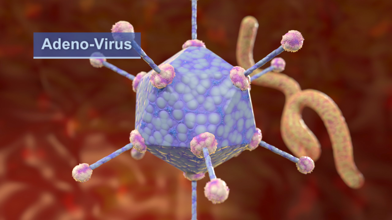 3D-Darstellung eines Adenovirus mit charakteristischer hexagonaler Form und langen Fäden im Hintergrund.