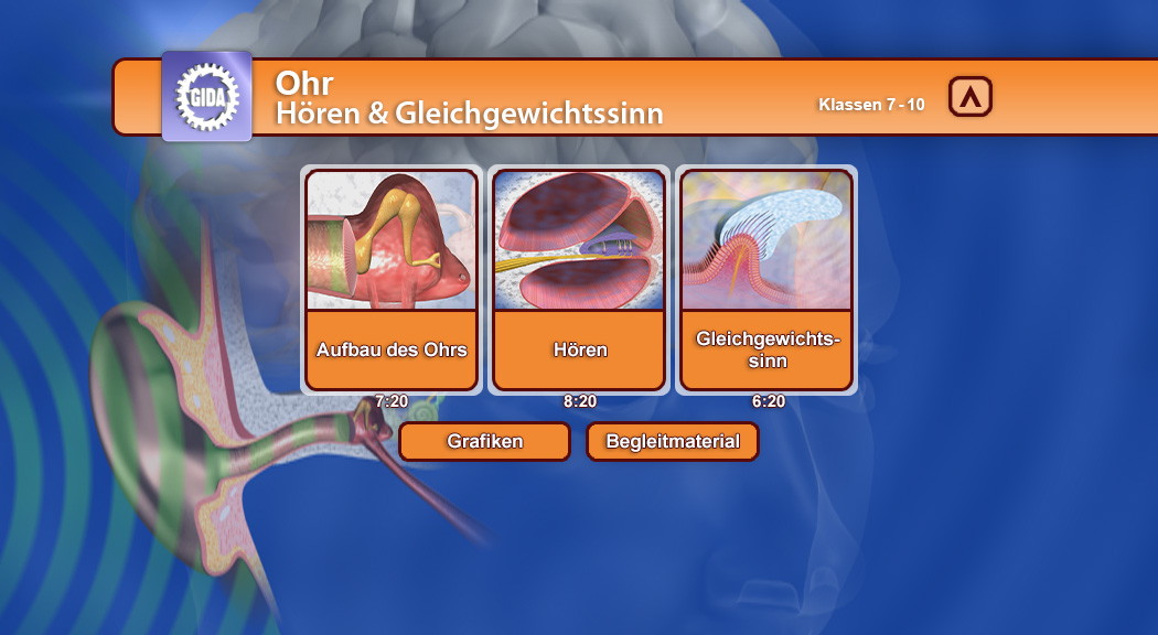 Grafiken zum Thema Ohr: Aufbau des Ohrs, Hören, Gleichgewichtssinn.
