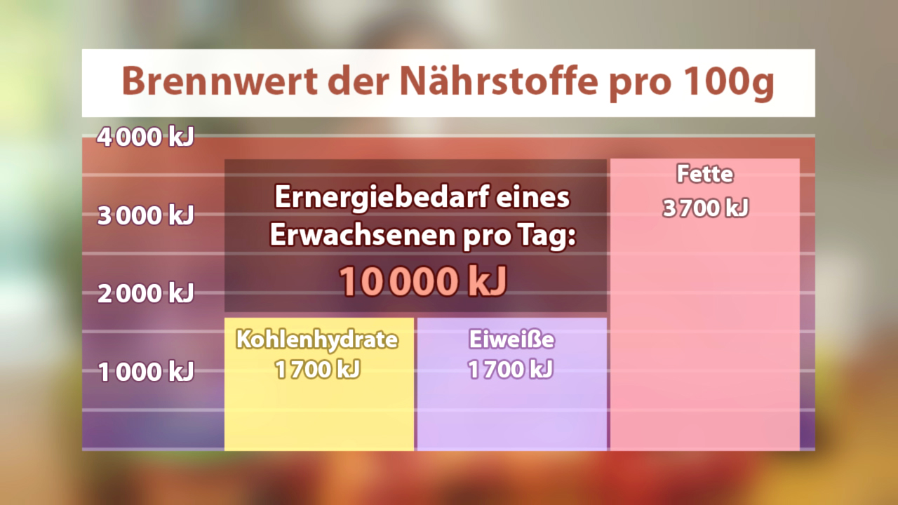Diagramm zeigt den Brennwert von Nährstoffen pro 100g: Kohlenhydrate 1700 kJ, Eiweiße 1700 kJ, Fette 3700 kJ. Täglicher Energiebedarf eines Erwachsenen: 10.000 kJ.