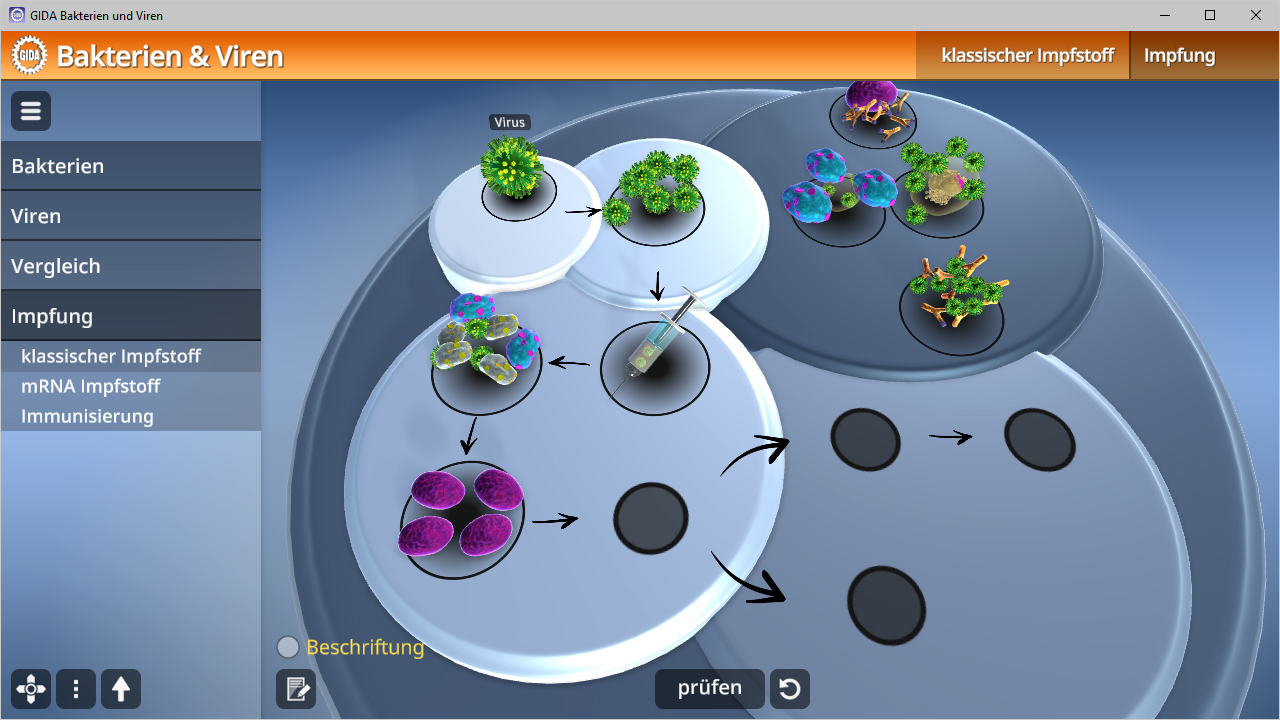 Interaktive Darstellung von Bakterien und Viren mit Informationen zu Impfstoffen und Immunisierung.