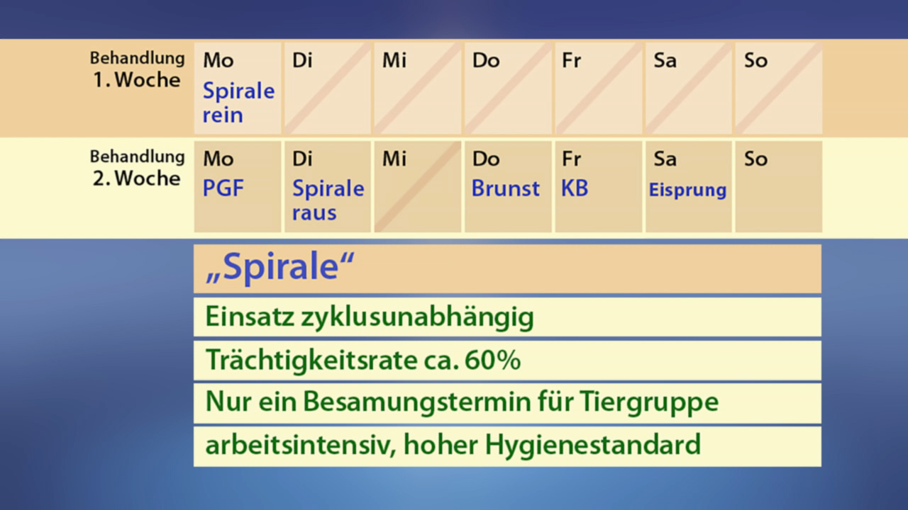 Tabelle mit Behandlungsplan für zwei Wochen, einschließlich der Verwendung einer Spirale und Informationen zur Trächtigkeitsrate.