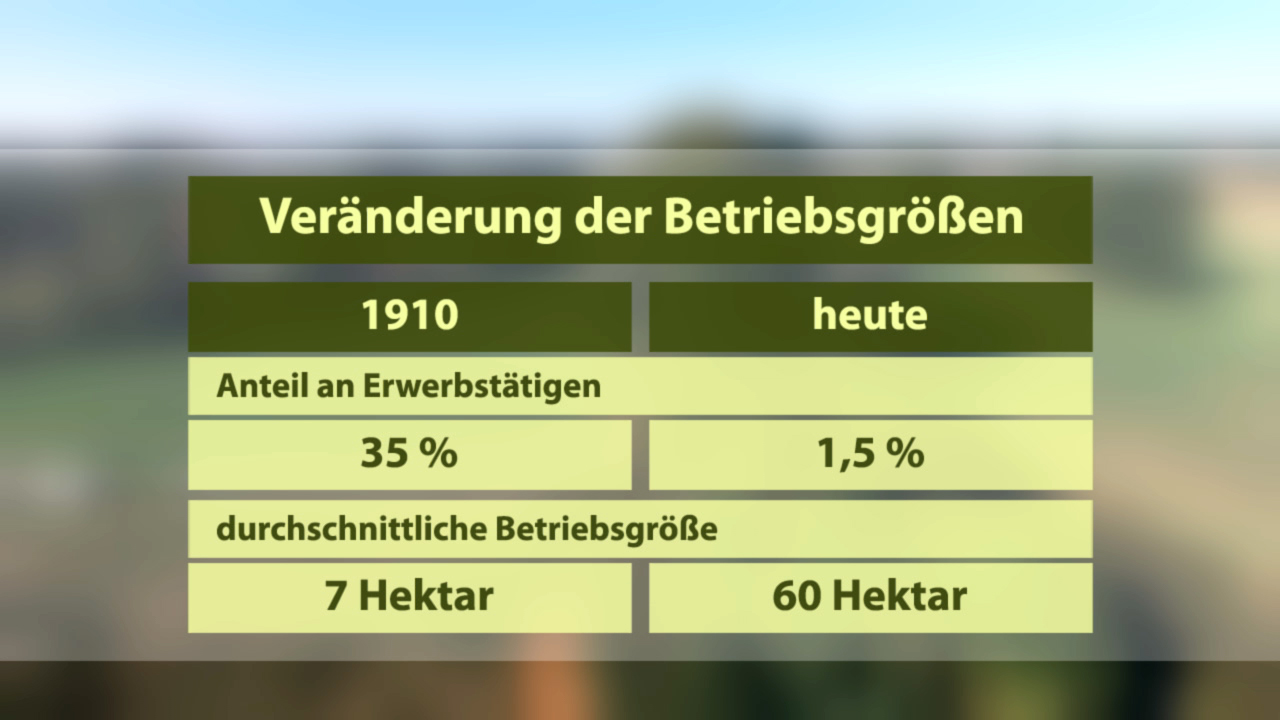 Infografik zur Veränderung der Betriebsgrößen von 1910 bis heute, zeigt Anteile und durchschnittliche Betriebsgröße.