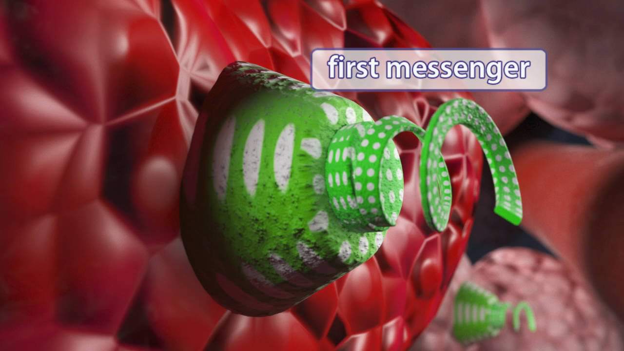 Grafik, die den ersten Botenstoff in einer Zelle zeigt, mit grünen und roten Elementen.