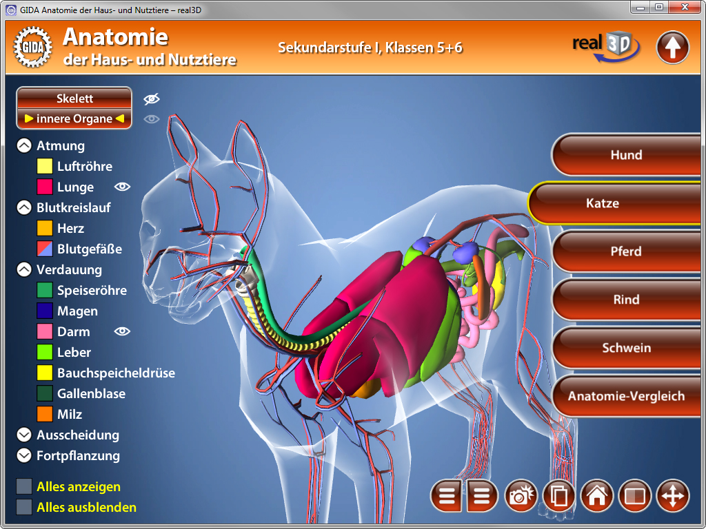 Interaktive Anatomieansicht eines Hundes und einer Katze mit hervorgehobenen inneren Organen und Körpersystemen.