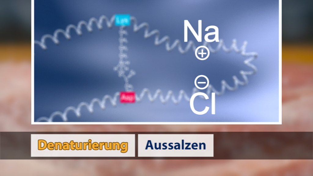 Diagramm zeigt die chemische Struktur von Natriumchlorid (NaCl) und den Prozess der Denaturierung und Ausfällen.