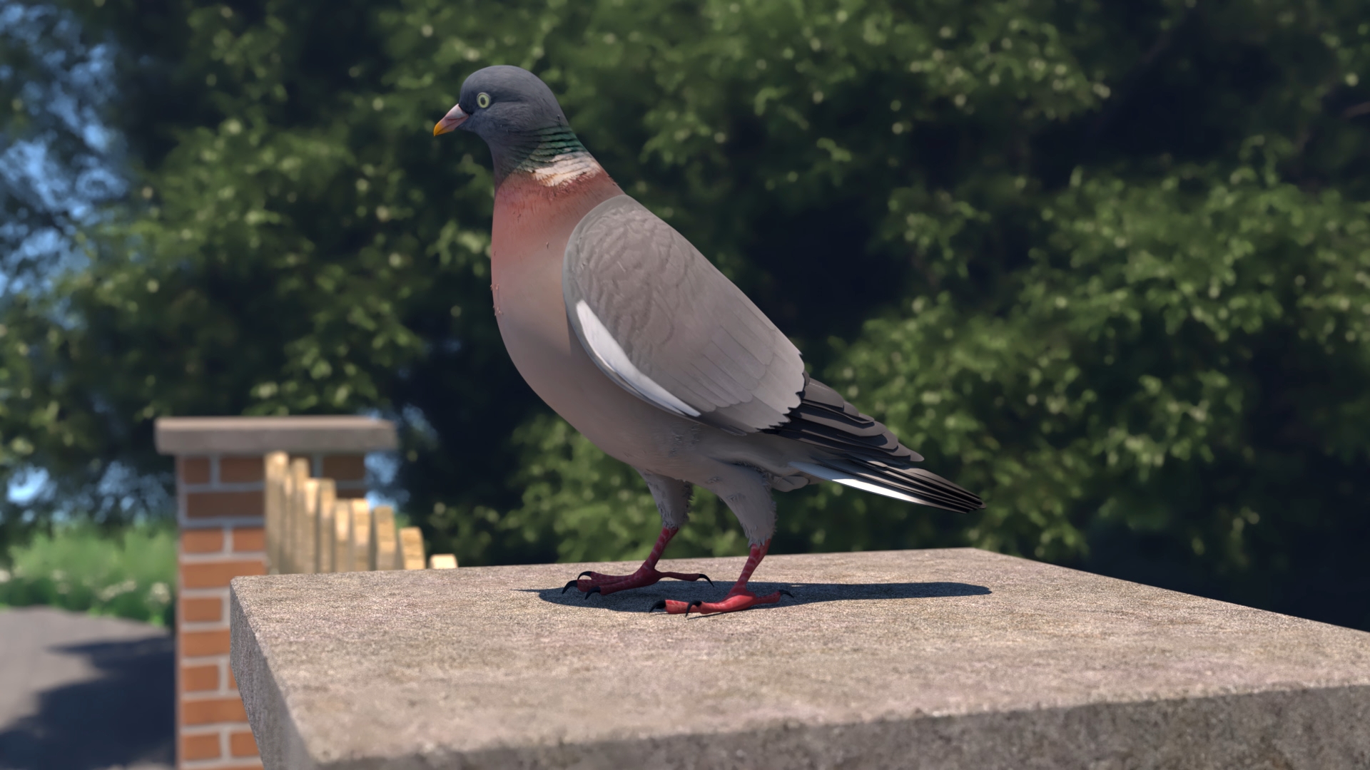 Taube steht auf einer steinernen Mauer mit unscharfem Hintergrund aus Bäumen und einem Zaun