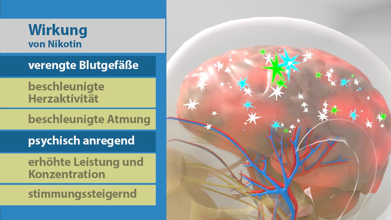 Grafik zeigt die Wirkungen von Nikotin auf das Gehirn, einschließlich verengter Blutgefäße und erhöhter Herzaktivität.