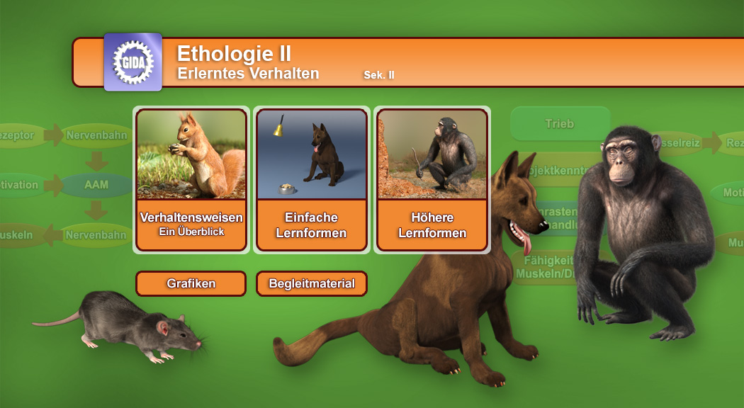 Interaktive Lernplattform zu Ethologie mit verschiedenen Tierarten und Verhaltensweisen.