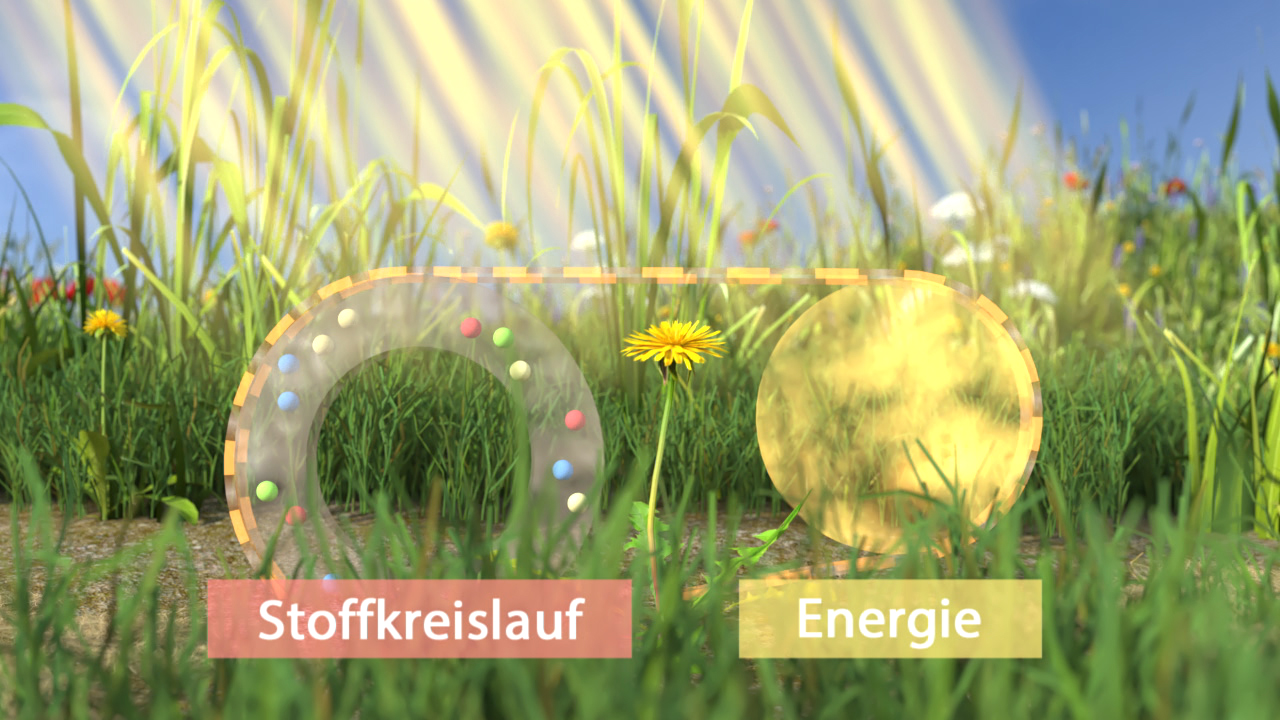 Grafik, die den Stoffkreislauf und die Energieflüsse in der Natur darstellt, mit bunten Elementen und einer gelben Sonne.