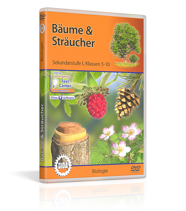 DVD-Cover mit dem Titel 'Bäume & Sträucher', zeigt eine Baumstumpf, Beeren und Blumen, für den Biologieunterricht.