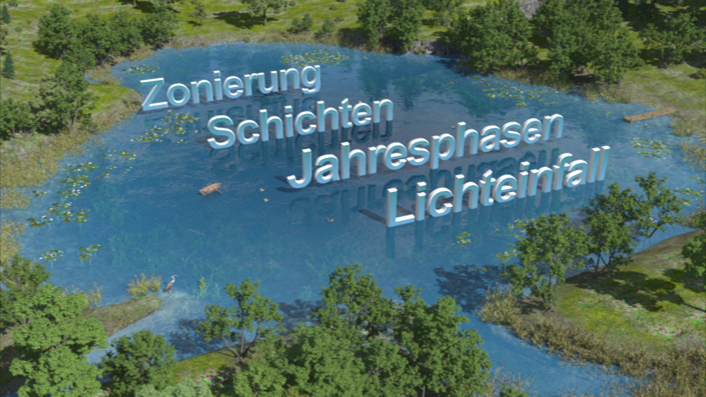 3D-Diagramm eines Gewässers mit den Begriffen 'Zonierung', 'Schichten', 'Jahresphasen' und 'Lichteinfall'