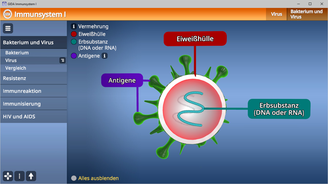 Grafik des Immunsystems mit einem Virus, der eine Eiweißhülle, Antigene und Erbsubstanz zeigt.