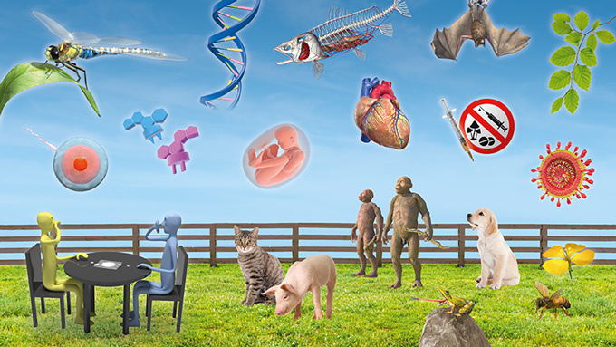 Fachbereich Biologie Fachbereich Biologie