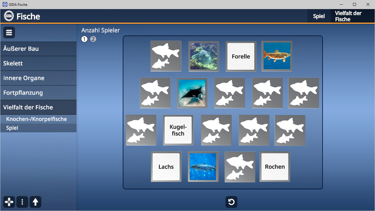 Ein Bildschirm mit einem Spiel über Fische, das verschiedene Fischarten zeigt, darunter Forelle, Kugelfisch, Lachs und Rochen.
