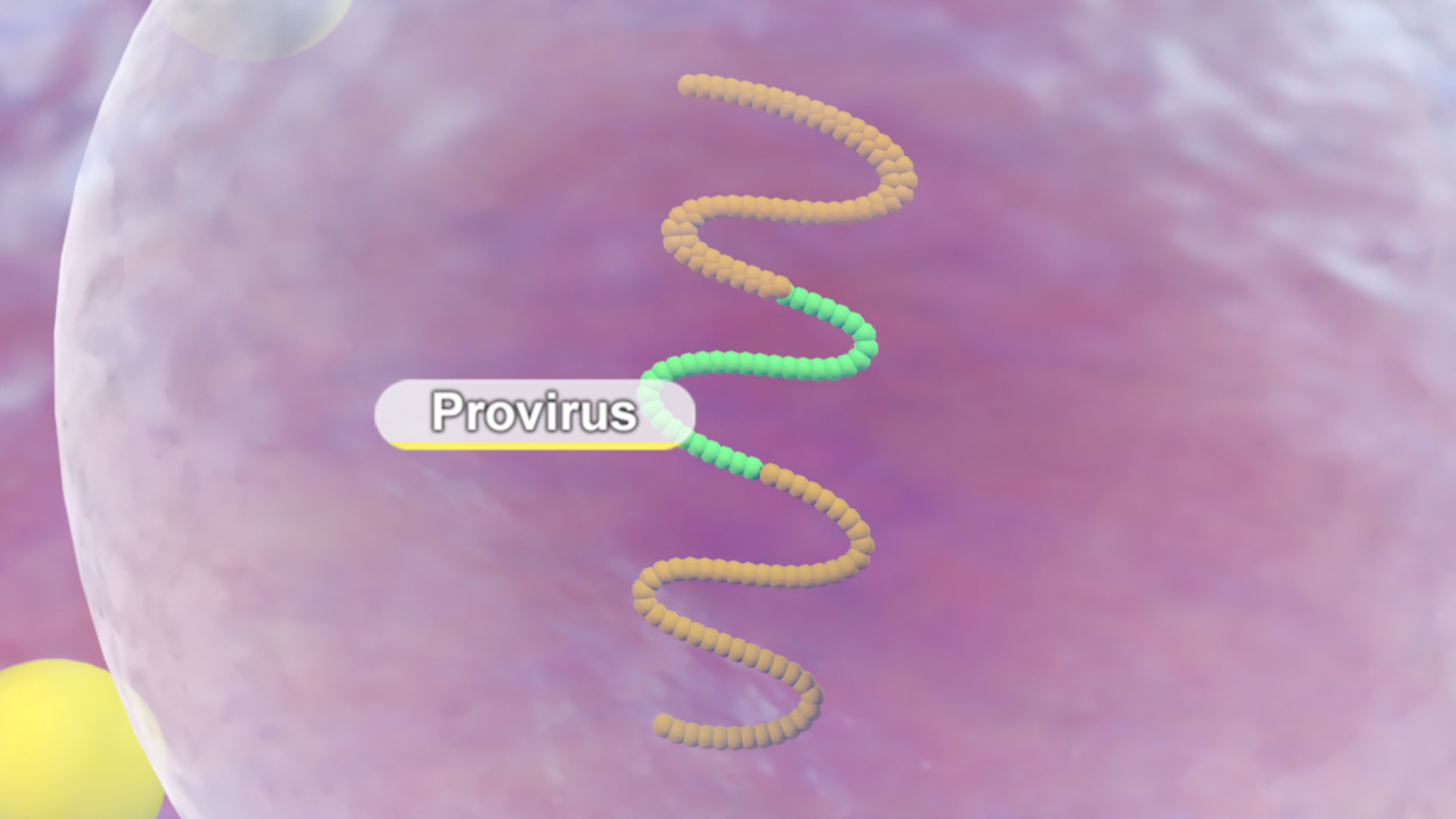Darstellung eines Provirus mit einer spiralförmigen Struktur in verschiedenen Farben.