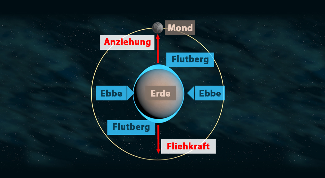 Diagramm zeigt die Anziehungskraft zwischen Erde und Mond, mit den Begriffen Flutberg, Ebbe und Fliehkraft.