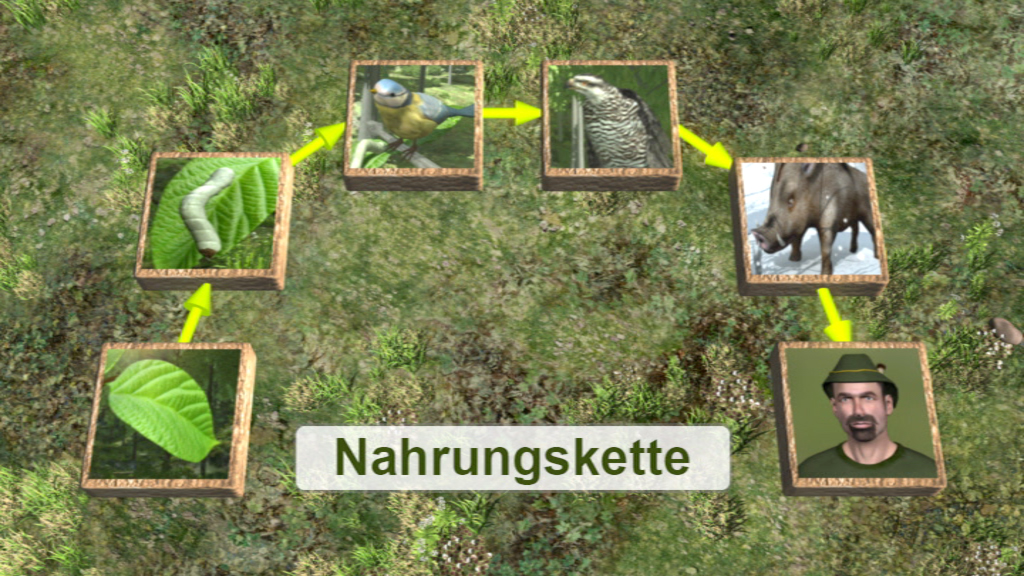Grafik einer Nahrungs- oder Nahrungskette mit verschiedenen Organismen: Blatt, Raupe, Vogel, Fisch, Wildschwein und Mensch.