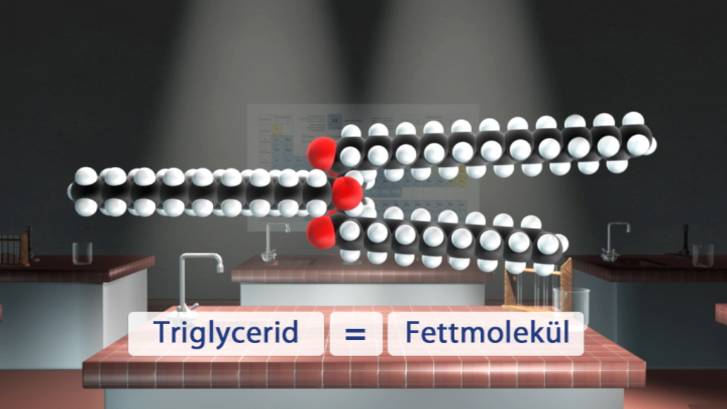 3D-Darstellung eines Triglycerids mit Molekülstruktur, rot für Sauerstoff, schwarz für Kohlenstoff, weiß für Wasserstoff.