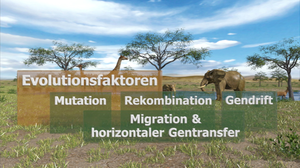 Grafik zu Evolutionsfaktoren mit den Begriffen Mutation, Rekombination, Gendrift, Migration und horizontaler Gentransfer.