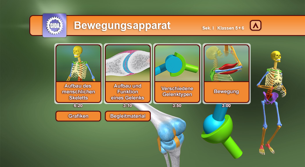 Interaktive Lernoberfläche über den Bewegungsapparat mit Themen zu Skelett, Gelenken und Bewegung.