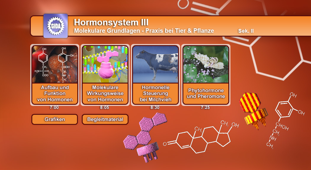 Infografik über das Hormonsystem III, zeigt molekulare Grundlagen und Funktionen von Hormonen bei Tieren und Pflanzen.