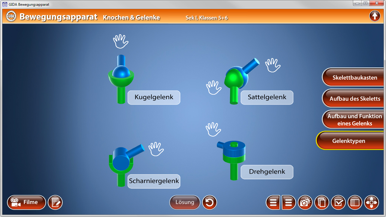 Illustration von Gelenktypen: Kugelgelenk, Sattelgelenk, Scharniergelenk und Drehgelenk mit entsprechenden Hand-Symbolen.