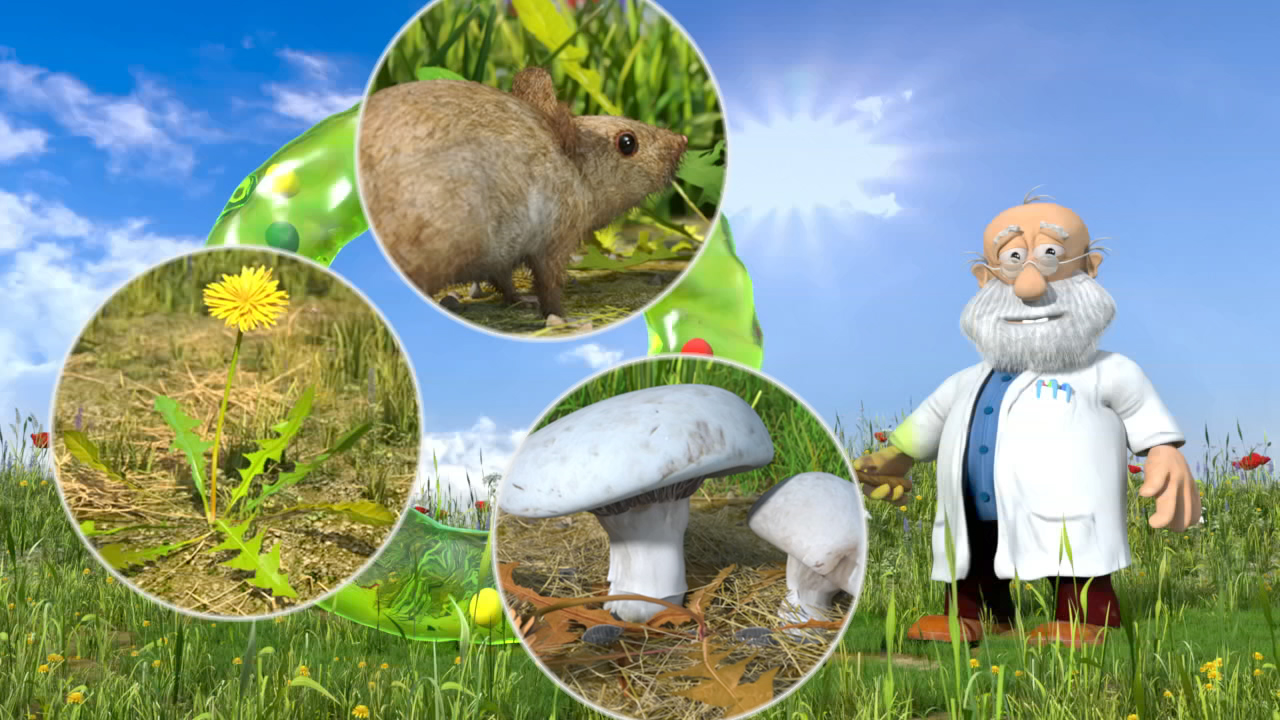 Ein Cartoon-Wissenschaftler steht in einer Wiese, umgeben von Illustrationen eines Maulwurfs, einer Löwenzahnblüte und Pilzen.