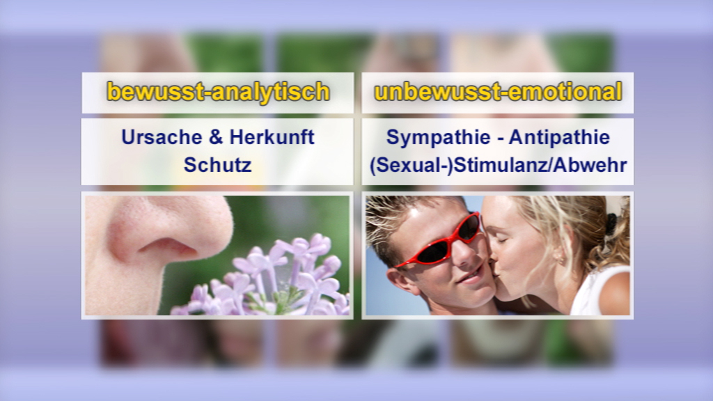 Tabelle mit zwei Spalten: links 'bewusst-analytisch' mit den Begriffen 'Ursache & Herkunft' und 'Schutz'; rechts 'unbewusst-emotional' mit 'Sympathie - Antipathie' und '(Sexual-)Stimulation/Abwehr'.