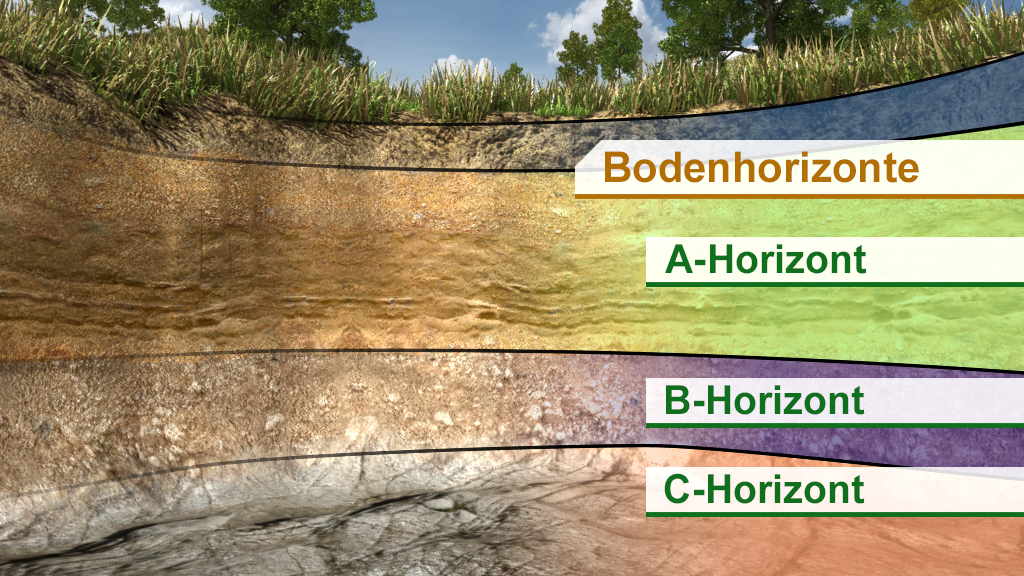 Grafik, die die verschiedenen Bodenhorizonte zeigt: A-Horizont, B-Horizont, C-Horizont, mit farblichen Unterschieden und Beschriftungen.
