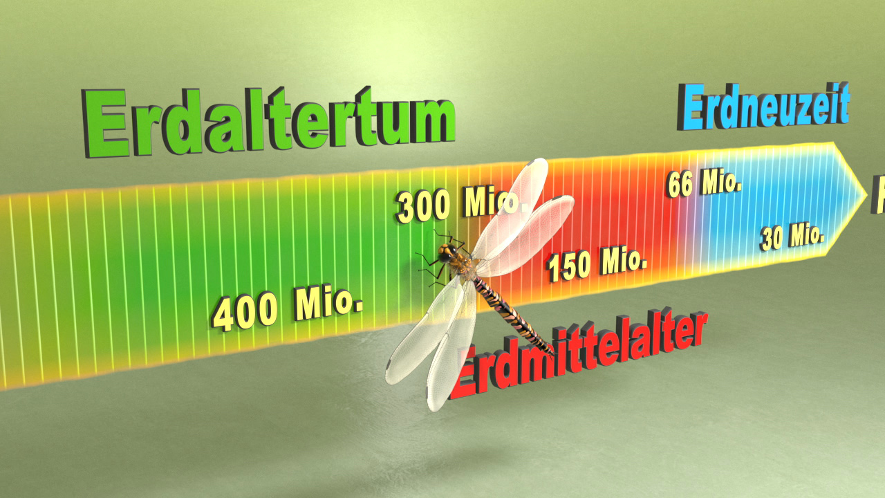 Grafik zur Erdgeschichte mit Zeitangaben: Erdaltertum, Erdneuzeitalter, Erdmittelalter, und einer Libelle.