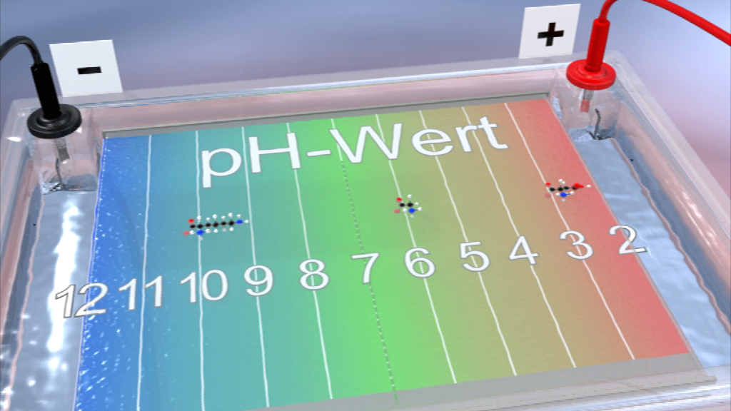 Diagramm zur pH-Wert-Messung mit einer Skala von 2 bis 12 in verschiedenen Farben.