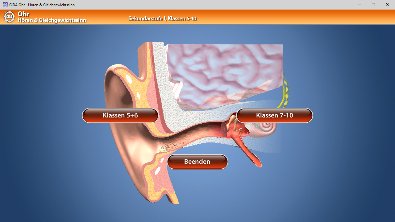 Grafik eines menschlichen Ohrs mit Beschriftungen für Klassen 5-6 und 7-10 sowie einer Schaltfläche zum Beenden.