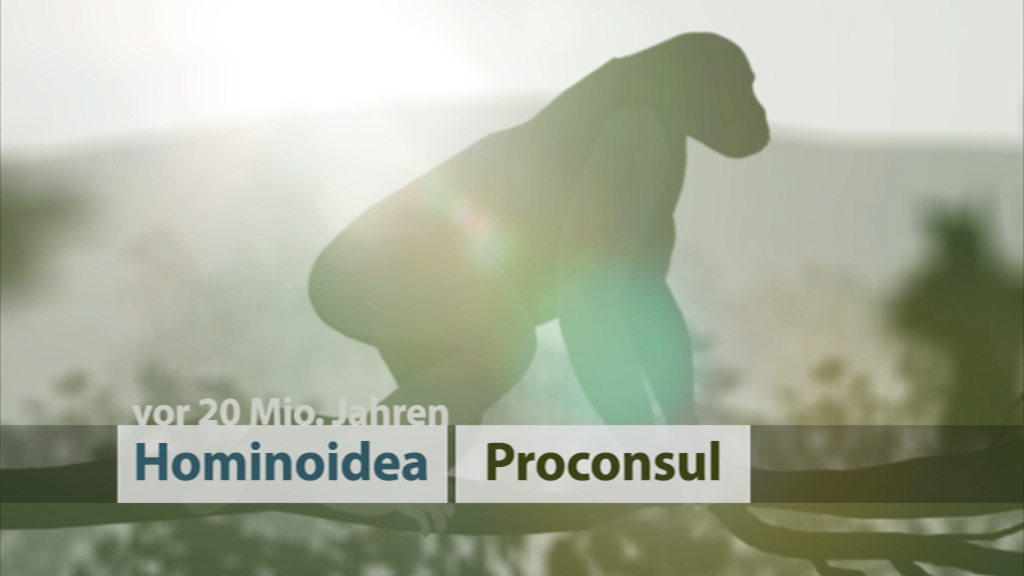 Silhouette eines Proconsul, einem frühen Vorfahren der Menschenaffen, vor einer unscharfen Landschaft.