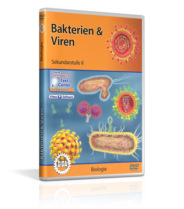 DVD-Cover mit dem Titel 'Bakterien & Viren', zeigt Illustrationen von Bakterien und Viren, geeignet für den Biologieunterricht.