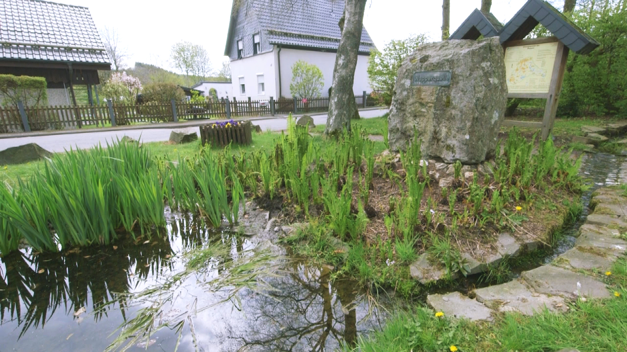 Ein großer Felsen in einem kleinen Teich, umgeben von grünen Pflanzen und einem ruhigen Wohnhaus im Hintergrund.