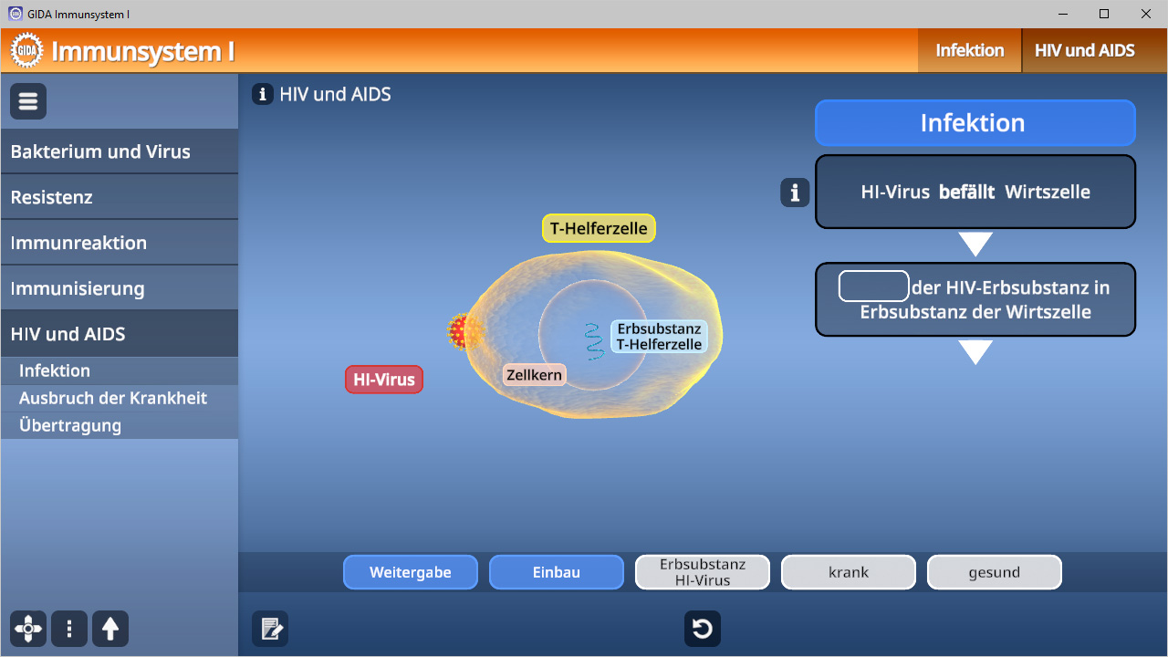 Diagramm des Immunsystems, das die Infektion durch das HI-Virus zeigt, einschließlich T-Helferzellen und infizierten Zellen.