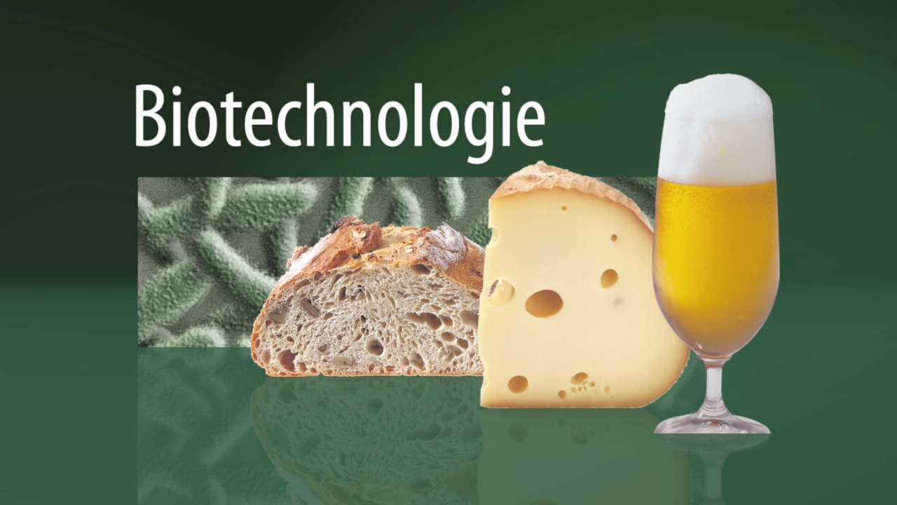 Grafik zur Biotechnologie mit Brot, Käse und einem Glas Bier.