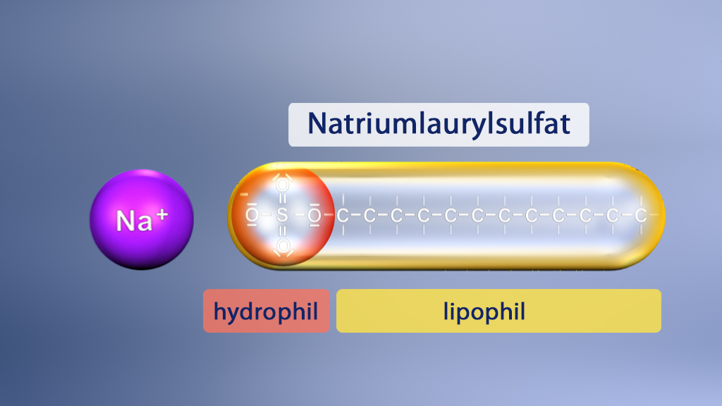 Diagramm von Natriumlaurylsulfat mit hydrophilen und lipophilen Eigenschaften.