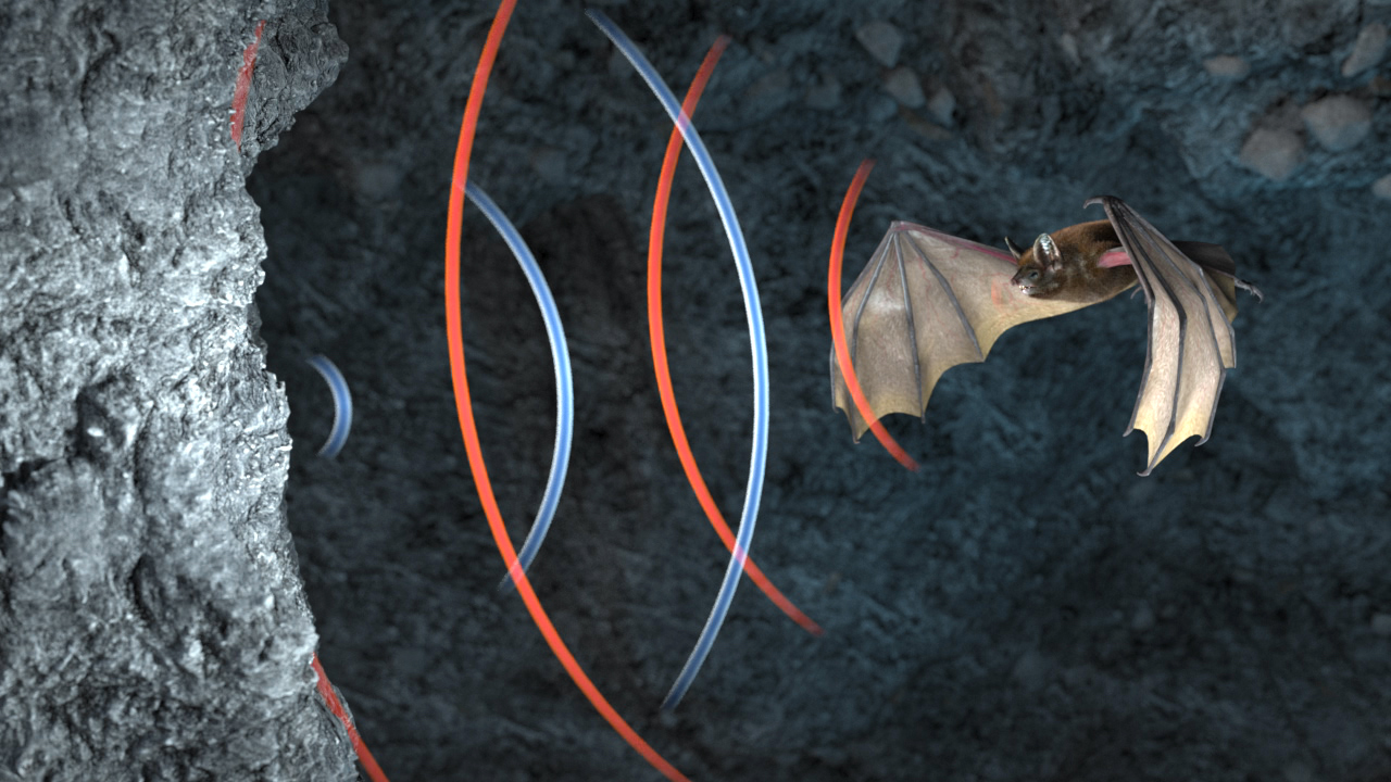 Eine Fledermaus fliegt in einer Höhle und nutzt Echoortung, dargestellt durch farbige Schallwellen.