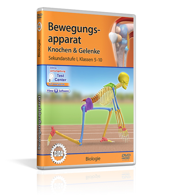 DVD-Cover für 'Bewegungsapparat: Knochen & Gelenke', zeigt ein schematisches Skelett und Gelenke, geeignet für Biologieunterricht.