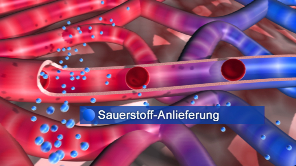 Grafik, die den Sauerstofftransport in Blutgefäßen zeigt, mit blauen Sauerstoffmolekülen und roten Blutkörperchen.