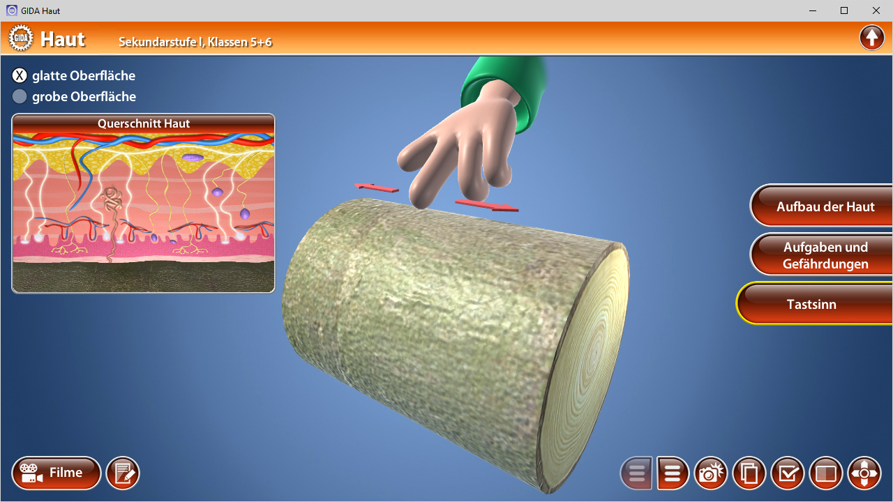 Interaktive Darstellung der Haut mit glatter und grober Oberfläche, Hand zeigt auf Querschnitt.