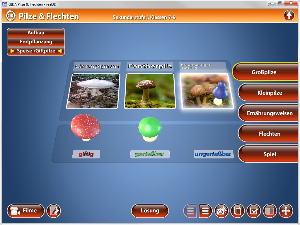 Interaktive Benutzeroberfläche zur Klassifizierung von Pilzen mit Bildern von Champignon, Pfifferling und einem ungenießbaren Pilz.